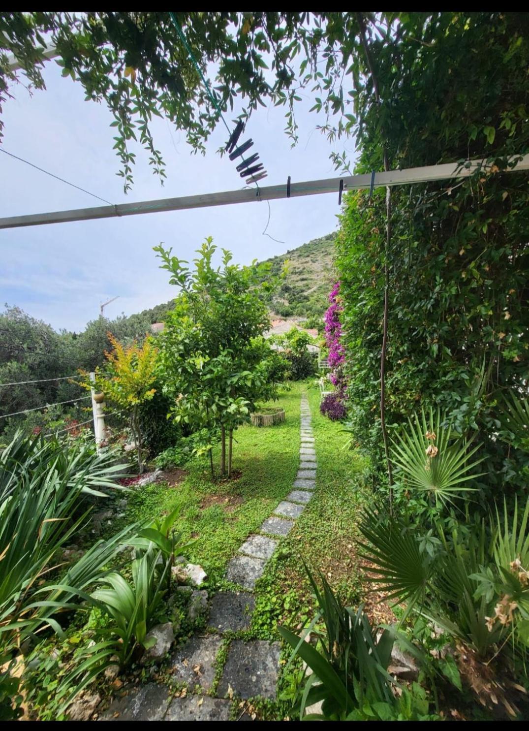Greengarden Dubrovnik Luaran gambar